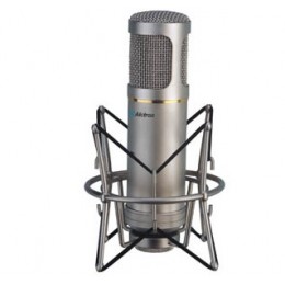 Alctron GT-2 Tub Condenser Microphone
