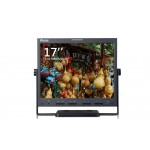 Ruige TL-S1700NP Desktop LCD Monitor 17-inch